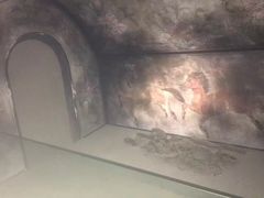 -平原博物院