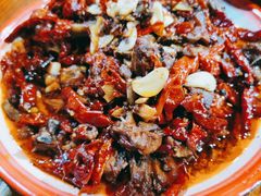 -柴窝堡22号辣子鸡·传承新疆菜