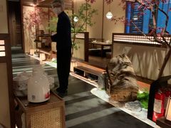 -揽季锅物会.福建黄鱼.海鲜姿造(五四路店)