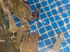 -小时候焗海鲜(鄞州万达店)