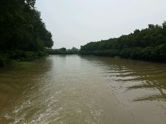 android_upload_pic-大湾区中央湿地公园
