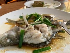 蒸海鱸魚-128海鲜餐厅