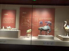 -宁夏博物馆