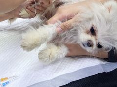 -美联众合动物医院·24h转诊中心