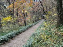 -句容茅山景区