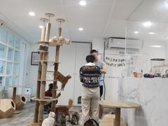 -楼上猫咖(罗湖店)