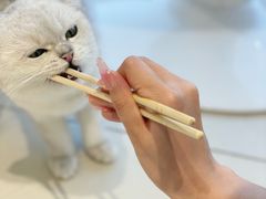 -怪兽屋·羊驼·猫咖·狗咖(俊华广场店)