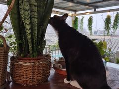 -小时光咖啡馆(北锣鼓巷店)