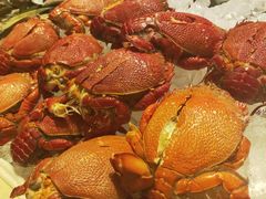 -太原富力万达文华酒店·美食汇西餐厅