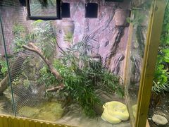 -上海大自然野生昆虫馆(东方明珠·爬宠昆虫探索中心)