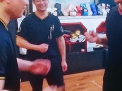 -温鉴良实用咏春拳