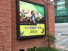 -凡育国际托育早教(大宁校区)