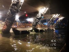 -运河游船(武林门码头)