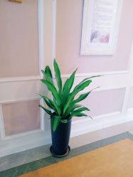 -安琪儿妇产医院·医养月子中心