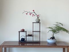 -小茶闲舍·观景商务茶馆(广州塔店)