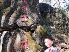 -蔡伦竹海