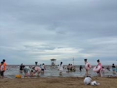 -碧海金沙
