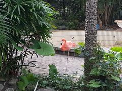 -广东茂名森林公园