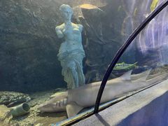 -太平洋海底世界