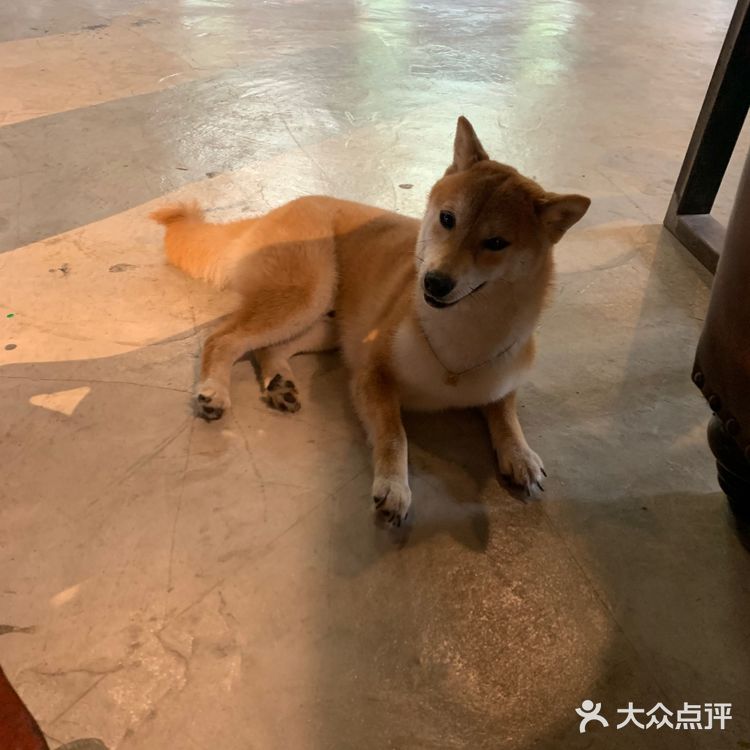 虽然远，但还是值得来打卡的。