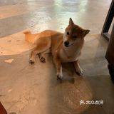 虽然远,但还是值得来打卡的。