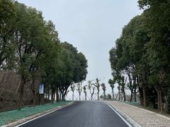 -南京市江宁方山