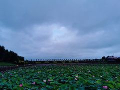 -六鼎山文化旅游区