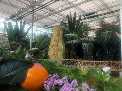 -兰陵国家农业公园