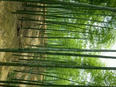 android_upload_pic-藏龙百瀑风景区