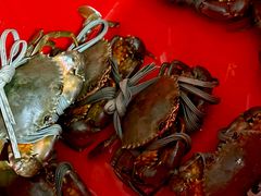 -老财炒饭·熟地蟹·冬瓜蟹