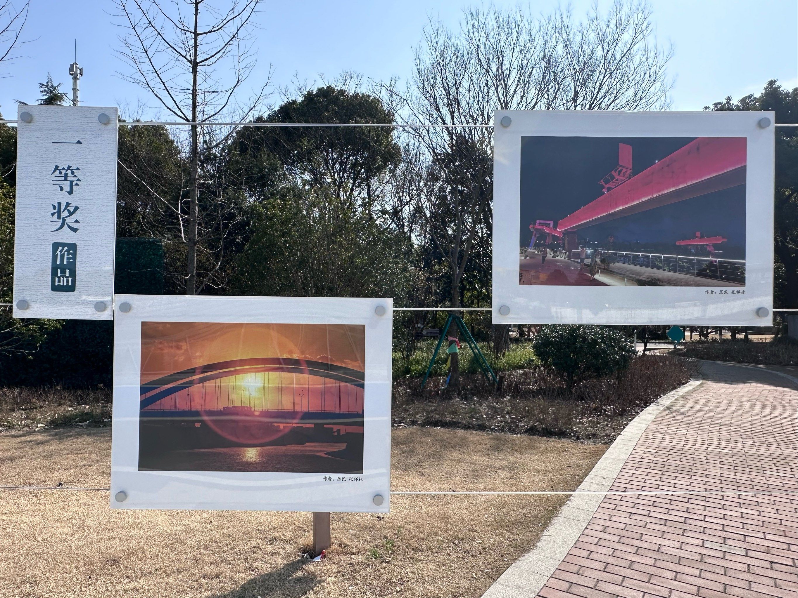 有空请来宝山智力公园感受一下摄影艺术文化