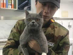 -伟伟宠物医院·CT影像中心·瑞派犬猫综合性门诊(汉口总院)