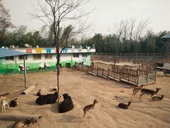 -西安秦岭野生动物园