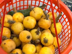 -乾芝斋·苏式糕点·碧螺春茶酥(平江路店)