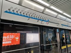 -大龙山(地铁站)