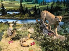 -陕西自然博物馆