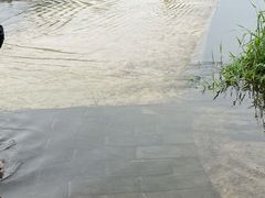 -门城湖公园