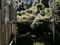 -悉尼蓝山三姐妹峰