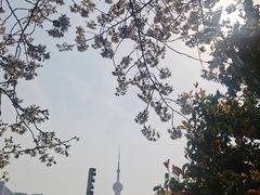 -北外滩滨江绿地