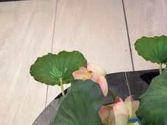-客家班·客家菜(嘉禾金铂店)