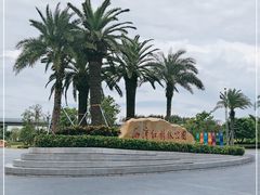 -宝安西湾红树林湿地公园