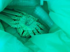 -众彩物流水产市场