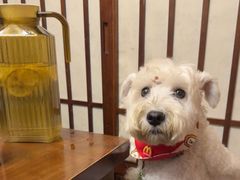 -鸟泉居酒屋·烧鸟·酒馆(百子湾店)
