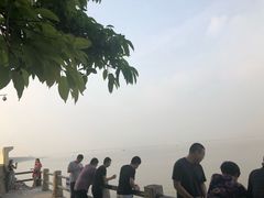 -大湾区中央湿地公园