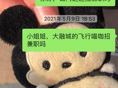 -飞行喵MR PILOT|猫舍·猫咖(静安大融城店)