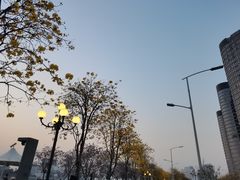 -洲头咀公园
