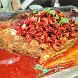 探鱼烤鱼[调皮]