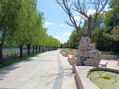 -南戴河国际娱乐中心