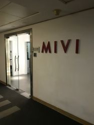-MIVI·纹眉半永久野生眉