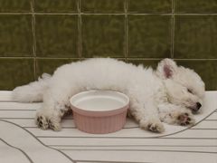 -帕帕拉兹宠物(亚洲旗舰店)